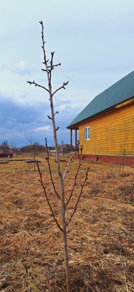 Продажа дома, 100м <sup>2</sup>, 13 сот., Шеховская