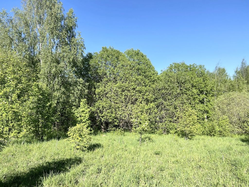 Продажа участка, Городище