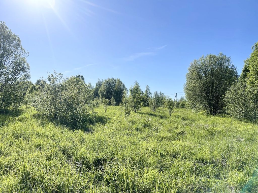 Продажа участка, Городище