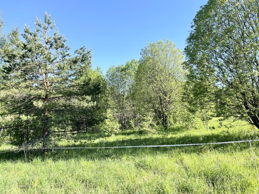 Продажа участка, Городище