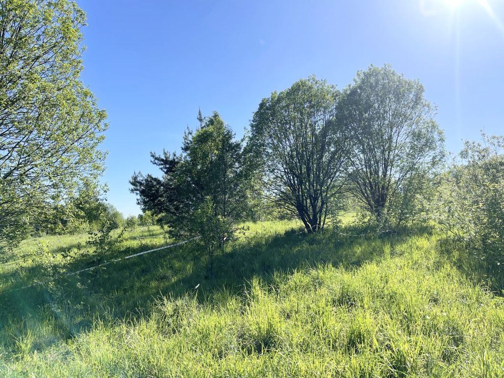 Продажа участка, Городище