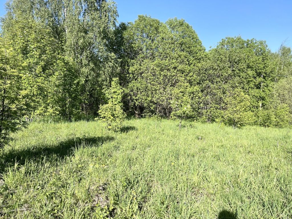 Продажа участка, Городище