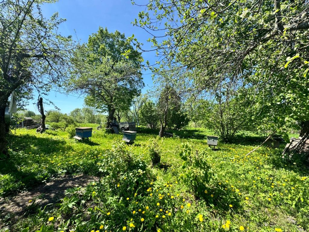 Продажа участка, Лучинское