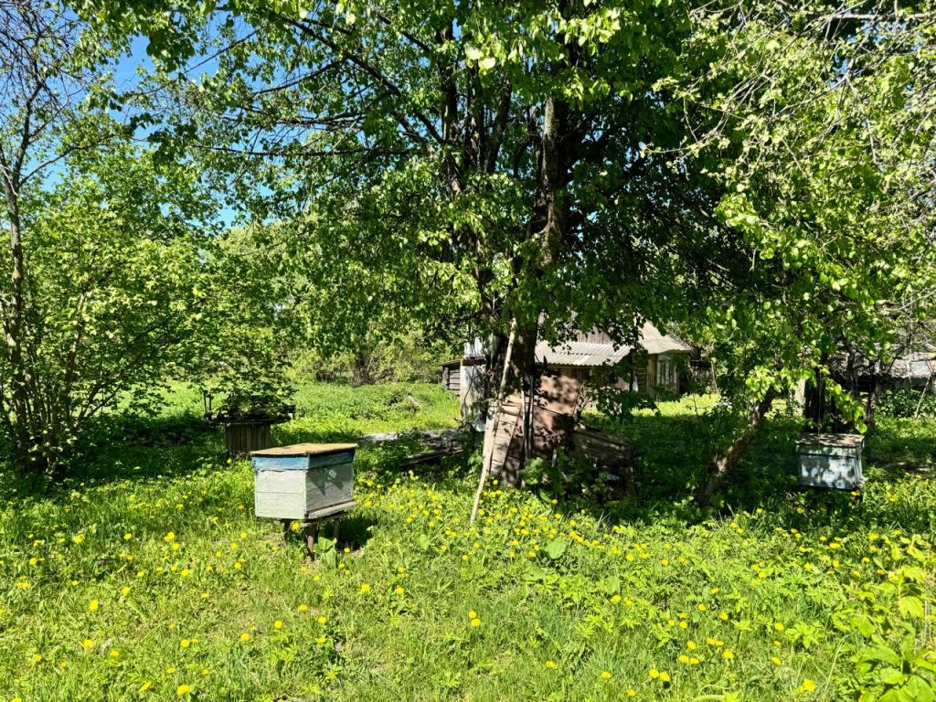 Продажа участка, Лучинское