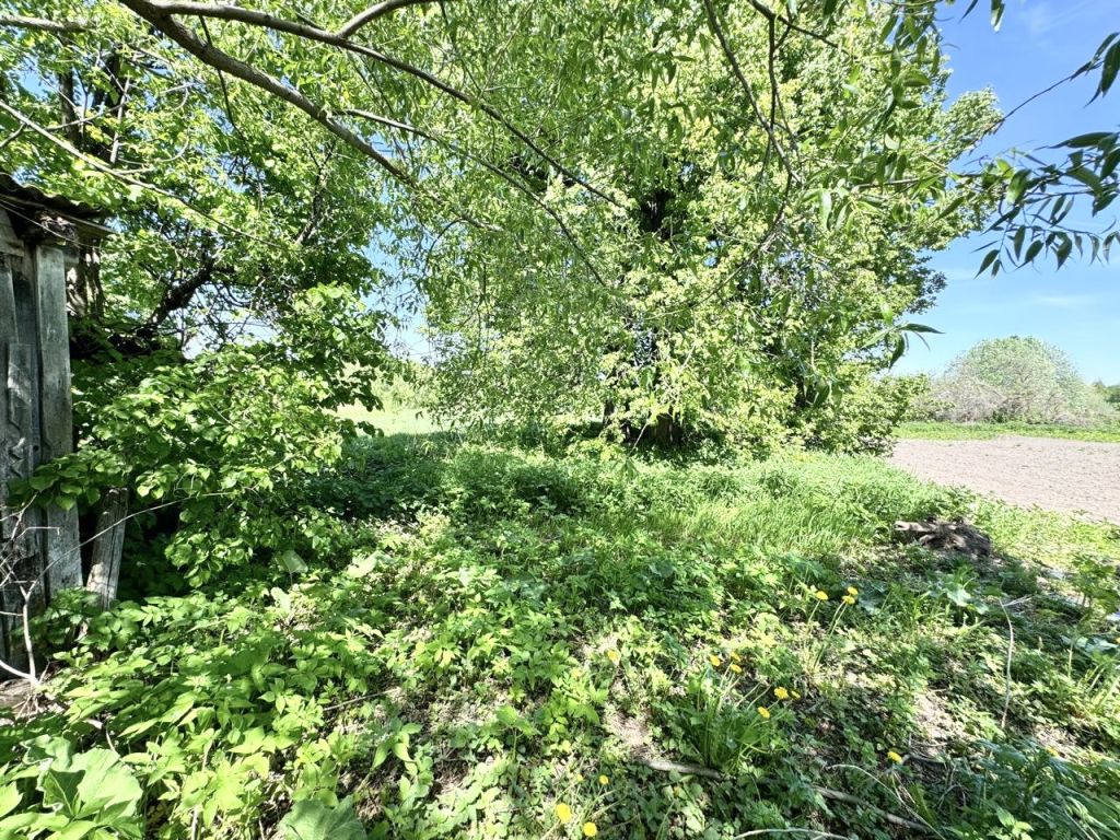 Продажа участка, Лучинское