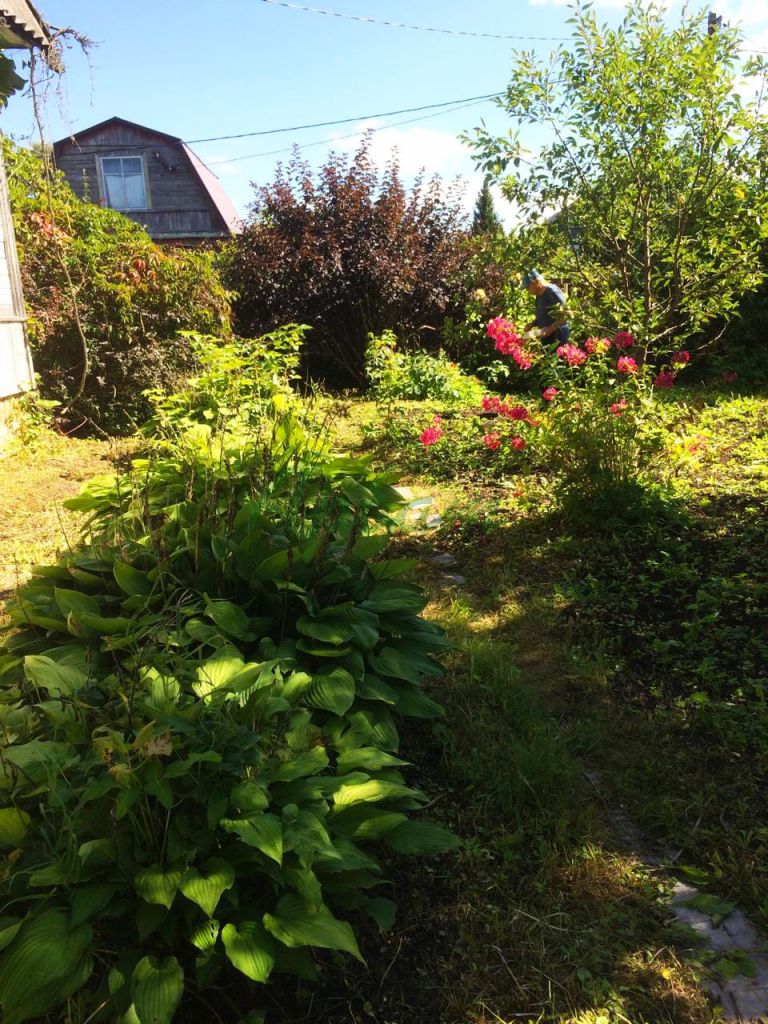 Продажа дома, 70м <sup>2</sup>, 12 сот., Тверская, тверская,  36