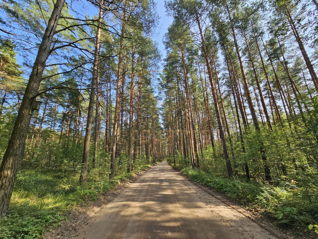 Продажа дома, 138м <sup>2</sup>, 11 сот., Иенево, Ромашковая