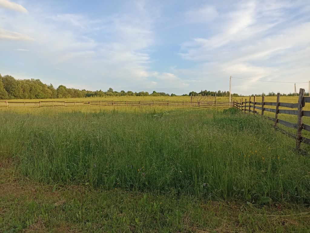 Продажа дома, 49м <sup>2</sup>, 20 сот., Вёски, Тихое поле