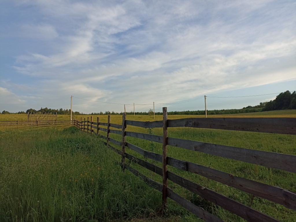 Продажа дома, 49м <sup>2</sup>, 20 сот., Вёски, Тихое поле