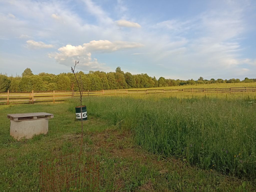 Продажа дома, 49м <sup>2</sup>, 20 сот., Вёски, Тихое поле