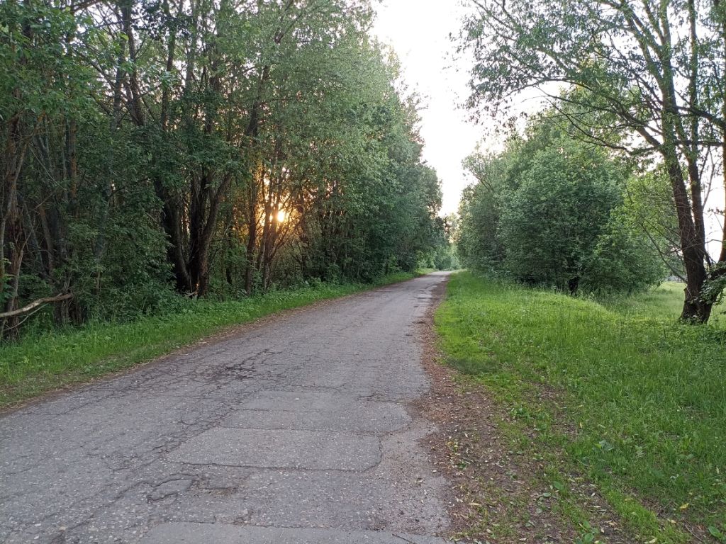 Продажа дома, 49м <sup>2</sup>, 20 сот., Вёски, Тихое поле