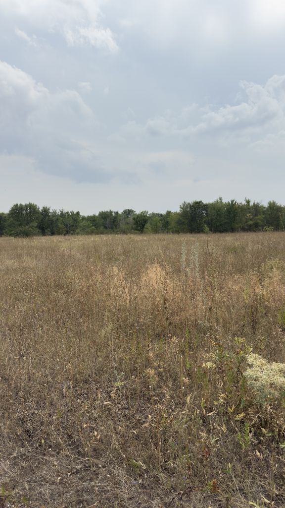 Продажа участка, Надежда, Светлая,  90