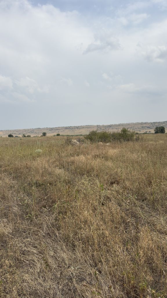 Продажа участка, Надежда, Светлая,  90