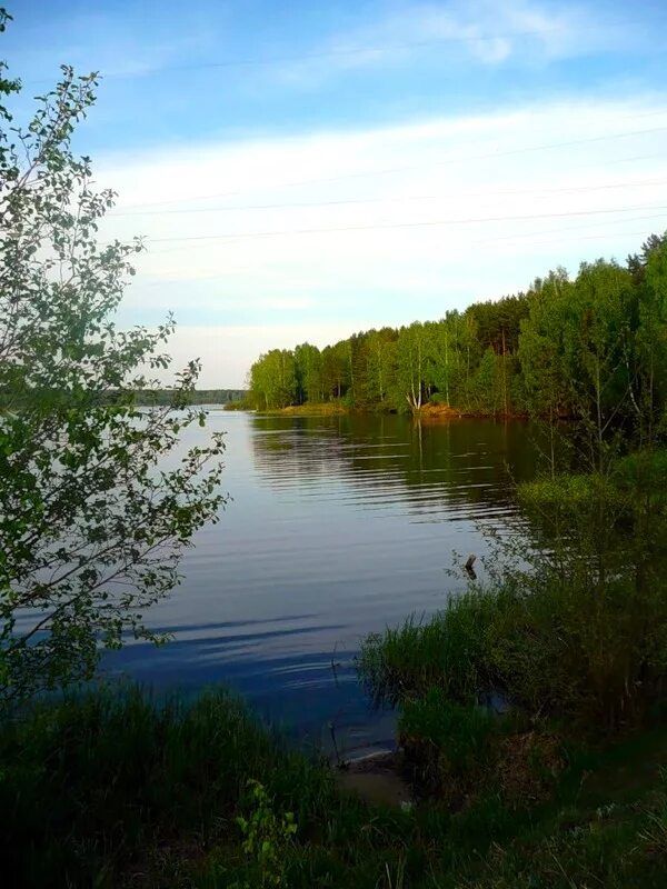 Продажа дома, 50м <sup>2</sup>, 23 сот., Новая, Клубная