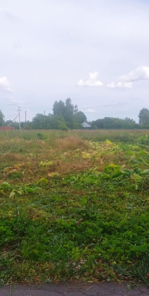 Продажа дома, 50м <sup>2</sup>, 23 сот., Новая, Клубная