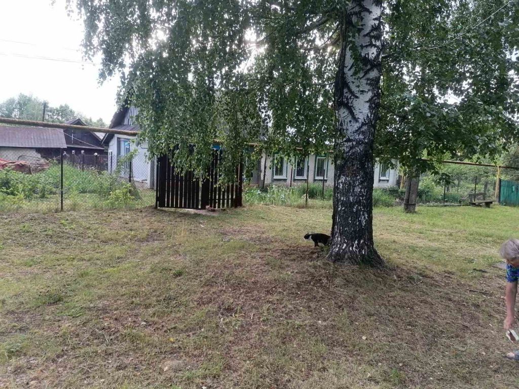 Продажа дома, 29м <sup>2</sup>, 7 сот., Засурское, Артамонова,  4