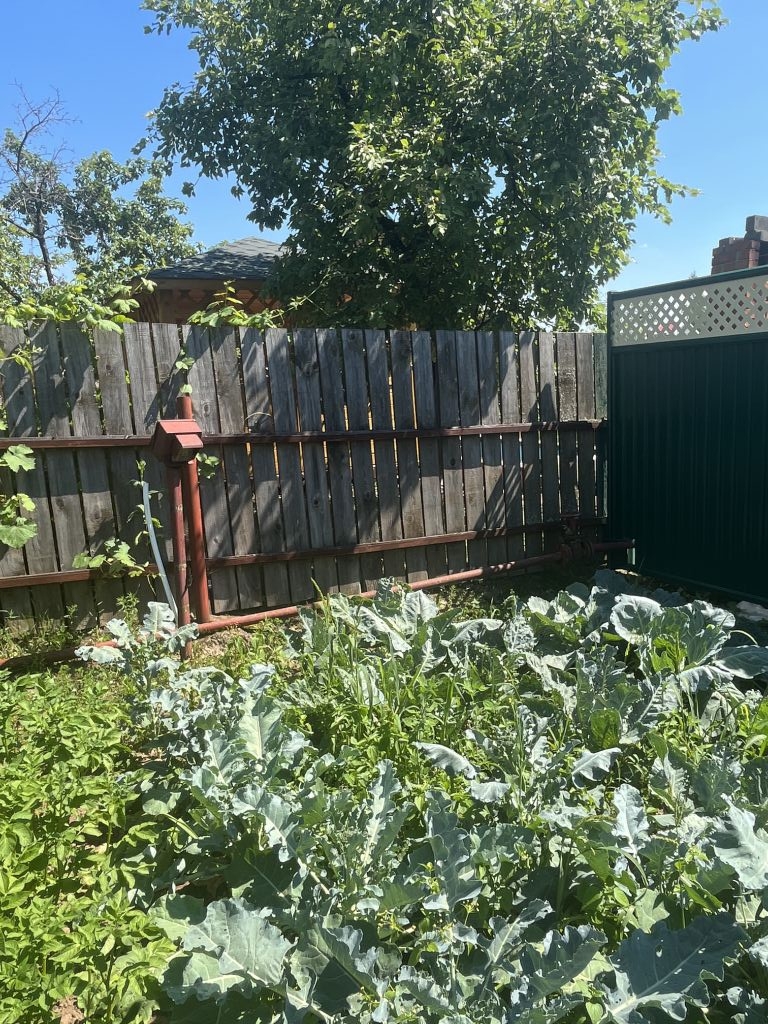 Продажа дачи, 54м <sup>2</sup>, 6 сот., Безводное, СНТ Мечта