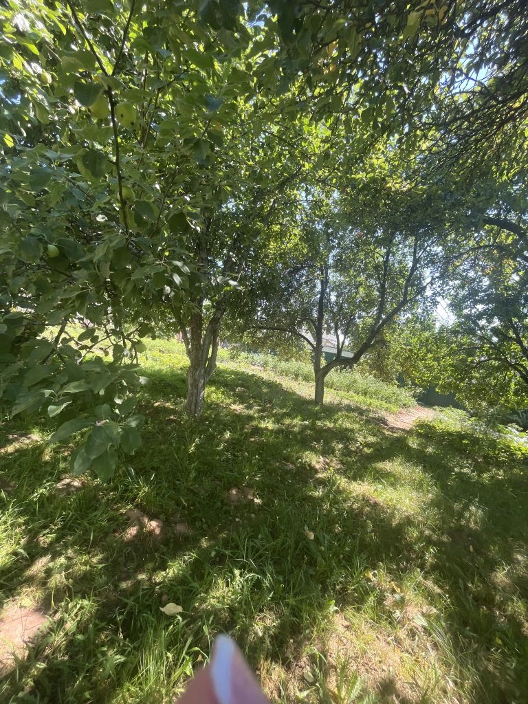 Продажа дачи, 54м <sup>2</sup>, 6 сот., Безводное, СНТ Мечта