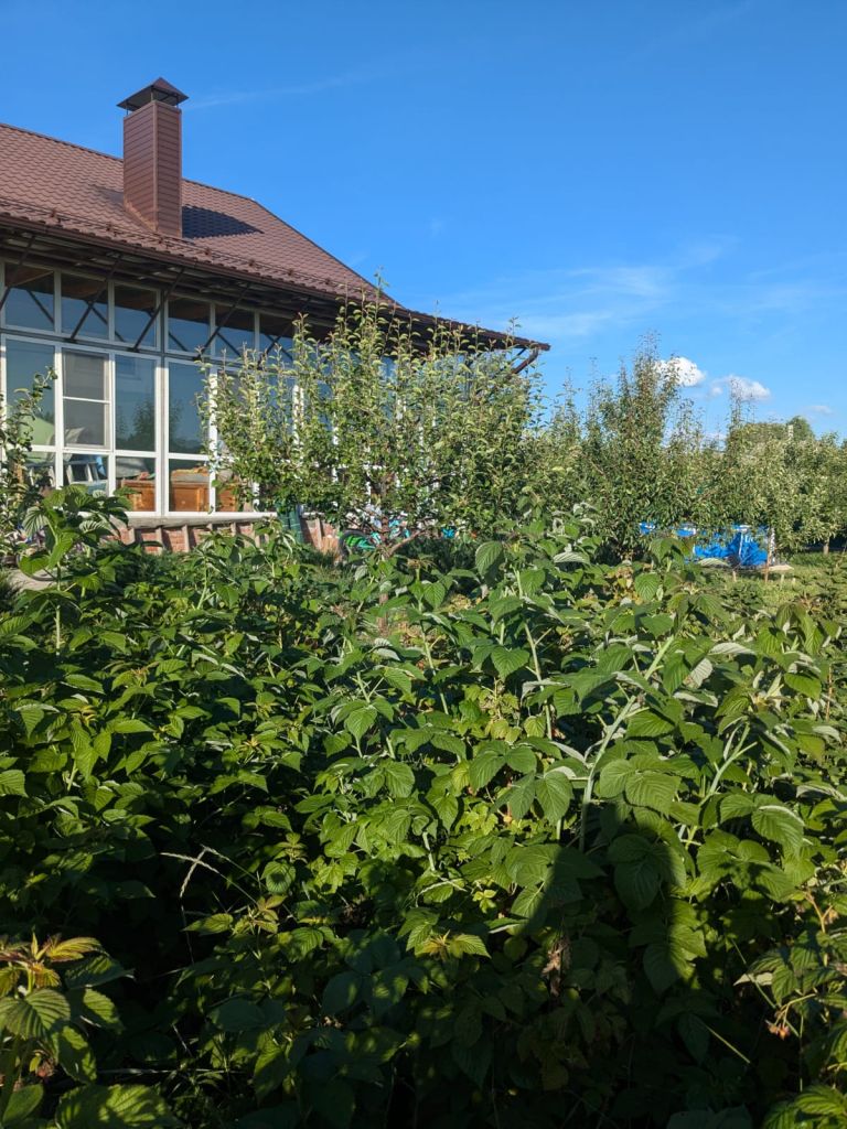 Продажа дома, 189м <sup>2</sup>, 20 сот., Стригуны, Народная