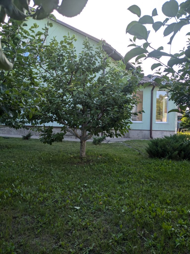 Продажа дома, 189м <sup>2</sup>, 20 сот., Стригуны, Народная