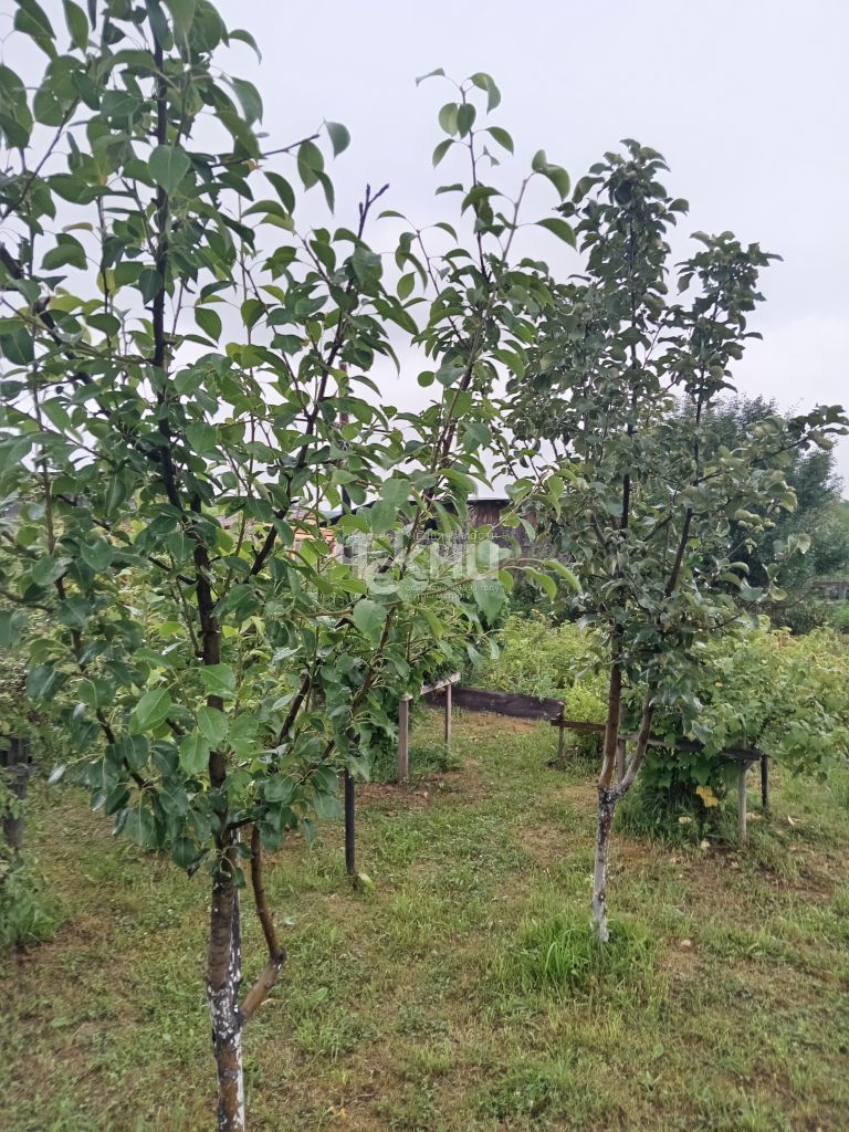 Продажа 3-комнатной квартиры, Овсянка,  106