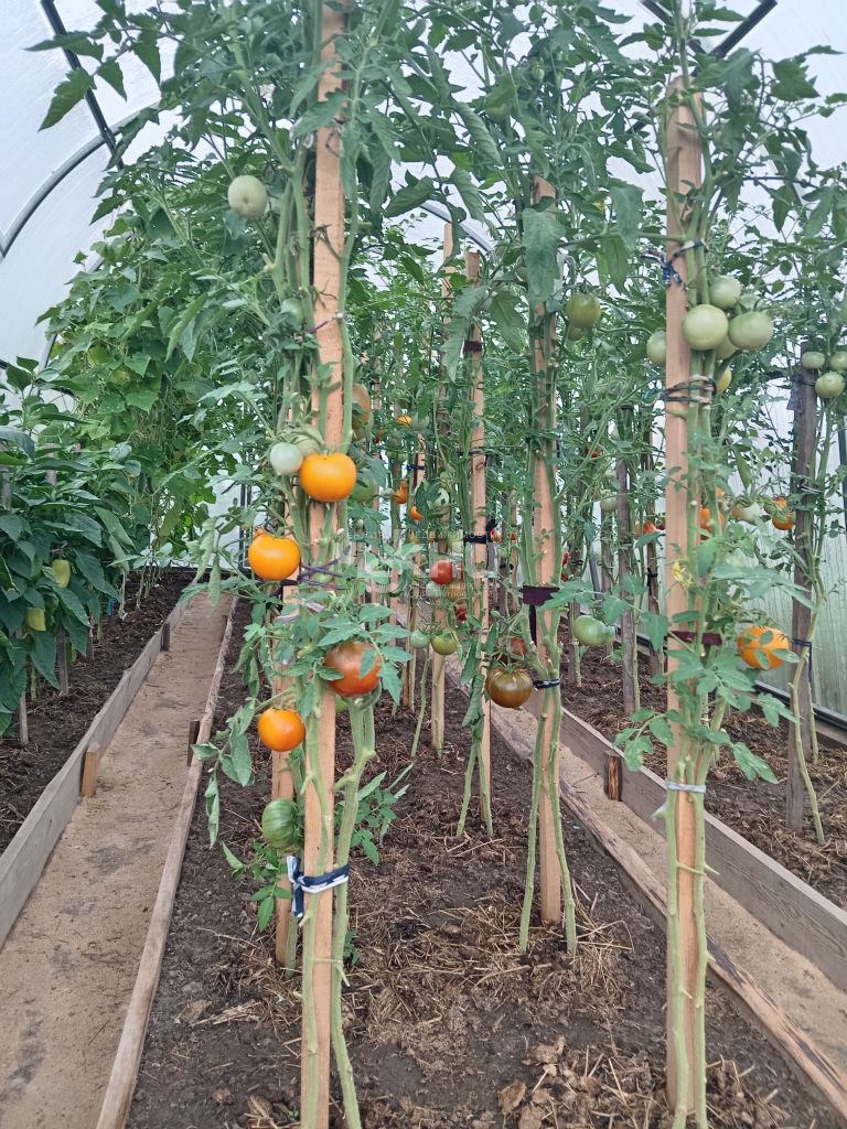 Продажа 3-комнатной квартиры, Овсянка,  106