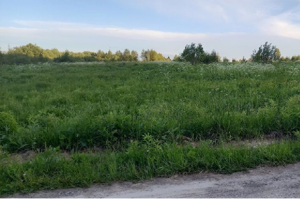 Продажа участка, Шепелево, Теплухинская