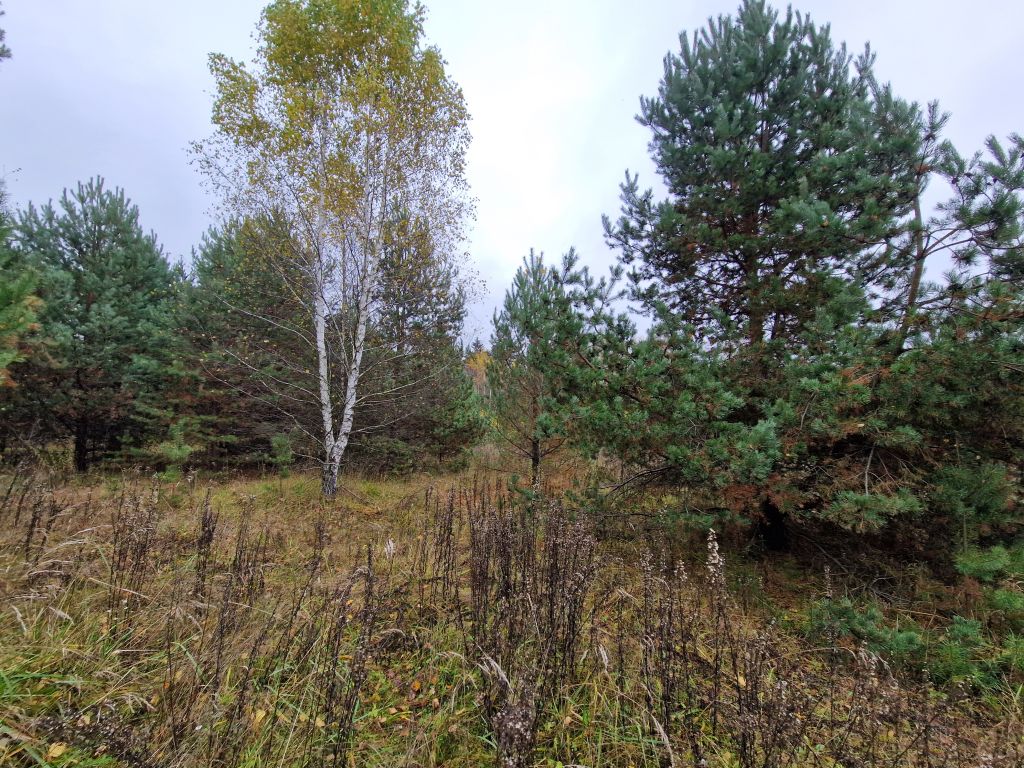 Продажа участка, Шепелево, Теплухинская