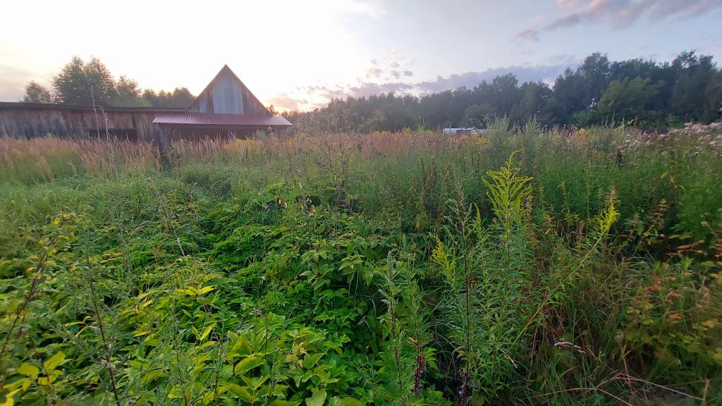 Продажа дома, 102м <sup>2</sup>, 11 сот., Дресвищи, центральная,  19