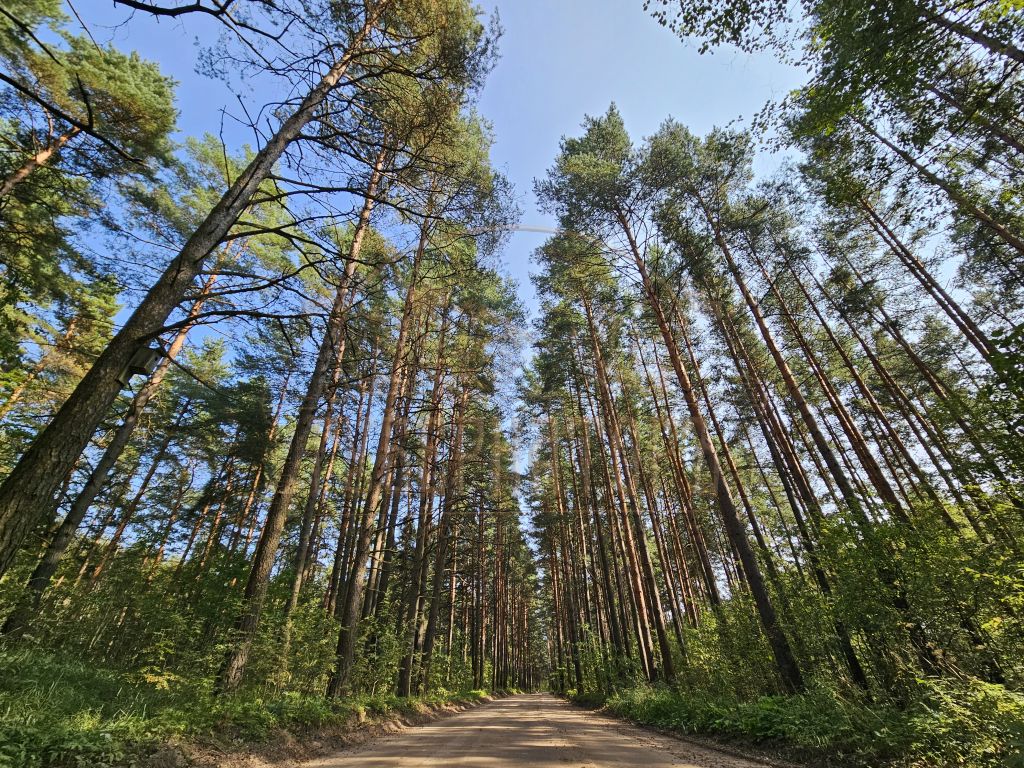 Продажа дома, 128м <sup>2</sup>, 12 сот., Иенево, Ромашковая