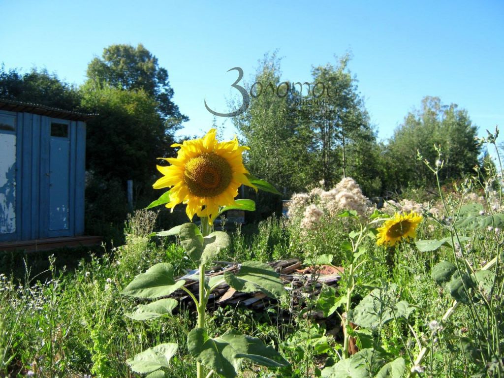 Продажа дома, 69м <sup>2</sup>, 14 сот., Слободищи,  29