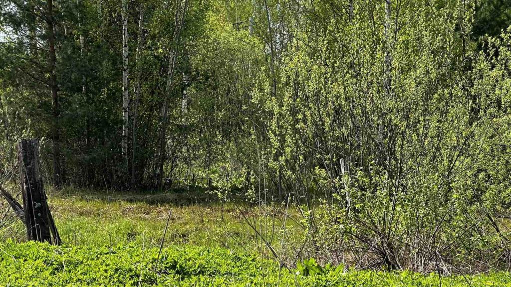 Продажа участка, Головино, Гагарина