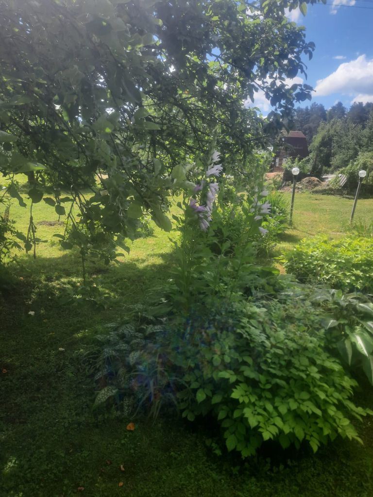 Продажа дачи, 18м <sup>2</sup>, 11 сот., Строитель, Любимая,  356