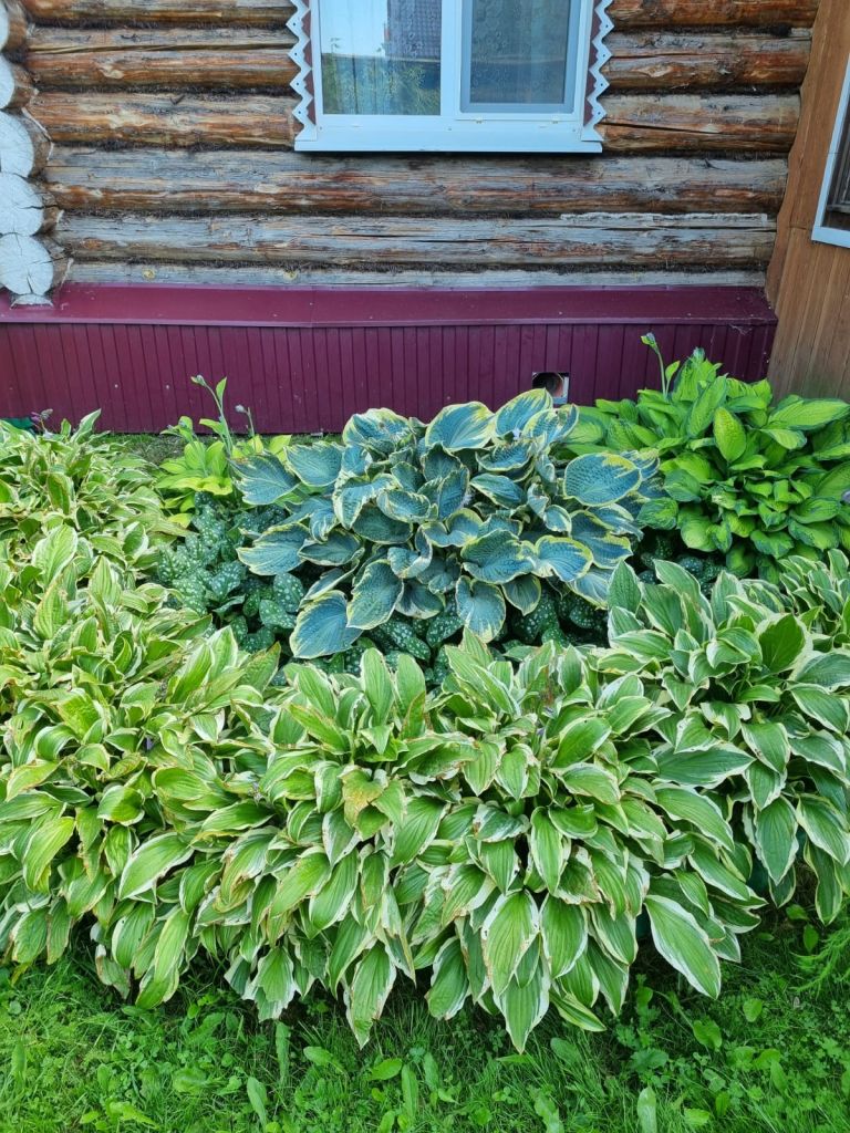 Продажа дома, 106м <sup>2</sup>, 14 сот., Калинки, Центральная,  55