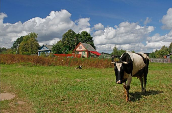 Продажа участка, Тверская