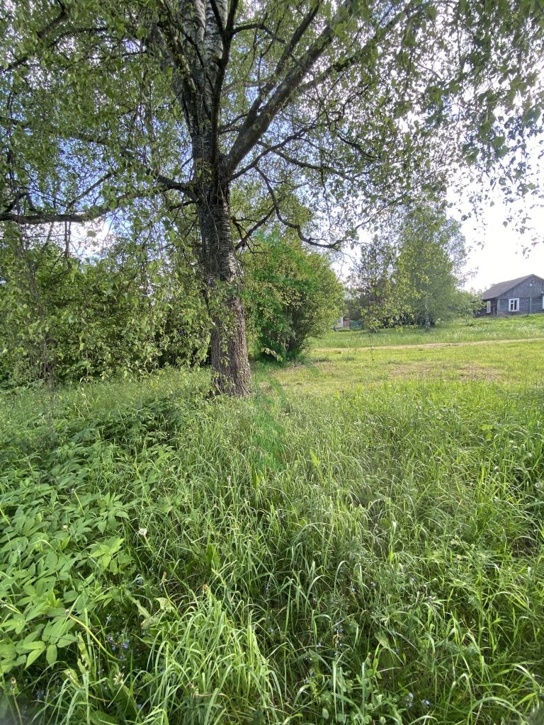 Продажа участка, Тверская