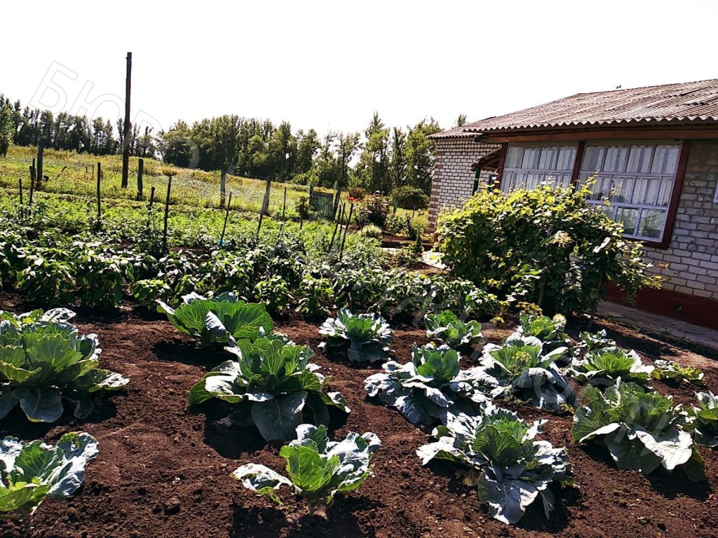 Продажа дома, 70м <sup>2</sup>, 20 сот., Садовый, Центральная,  35