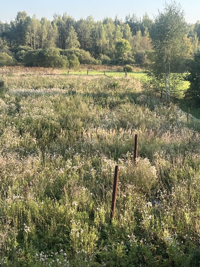 Продажа дома, 72м <sup>2</sup>, 17 сот., Веснево,  22