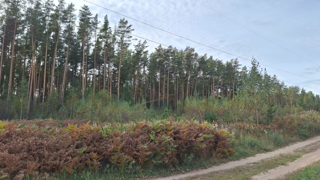 Продажа участка, Заволжье, Рождественская ул