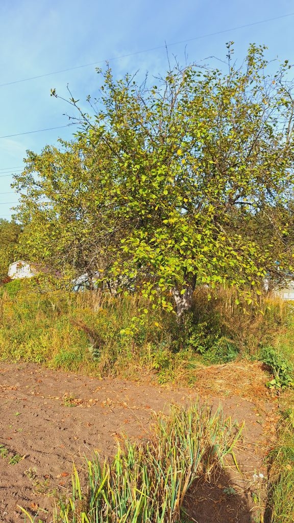 Продажа участка, Заволжье, Рождественская ул