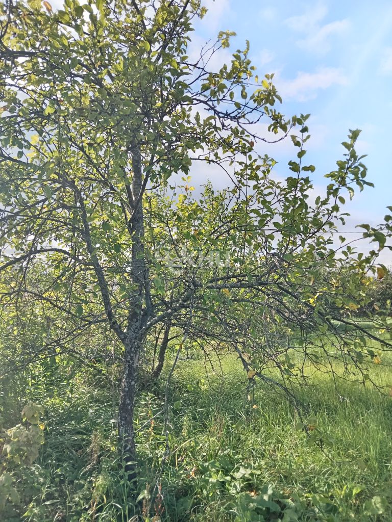 Продажа дачи, 20м <sup>2</sup>, 4 сот., Городец, Орджоникидзе ул