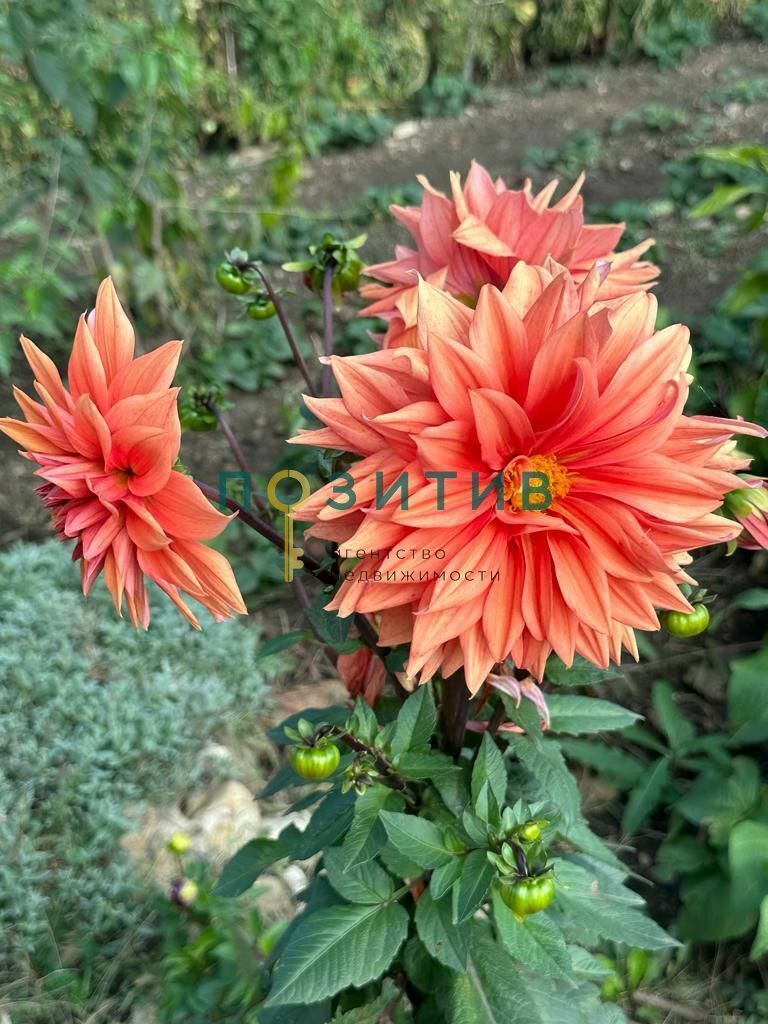 Продажа дома, 100м <sup>2</sup>, 15 сот., Змейка, ставропольский край,  минераловодский муниципальный округ