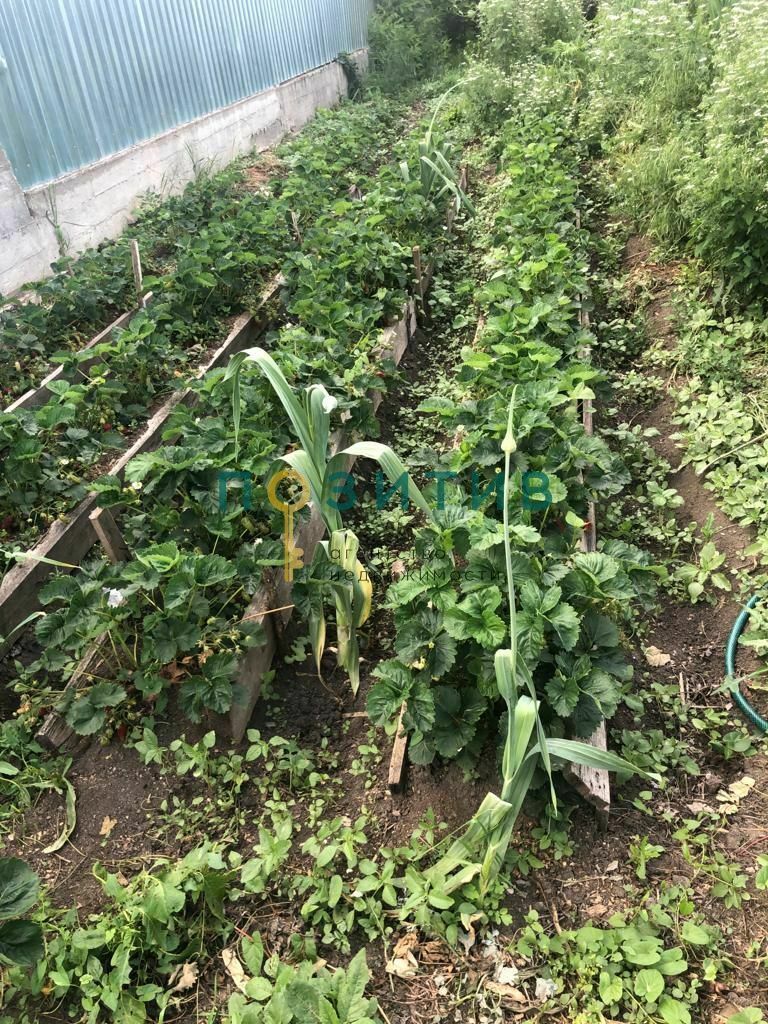 Продажа дома, 100м <sup>2</sup>, 15 сот., Змейка, ставропольский край,  минераловодский муниципальный округ