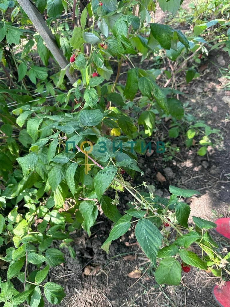 Продажа дома, 100м <sup>2</sup>, 15 сот., Змейка, ставропольский край,  минераловодский муниципальный округ