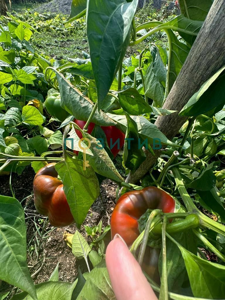 Продажа дома, 100м <sup>2</sup>, 15 сот., Змейка, ставропольский край,  минераловодский муниципальный округ