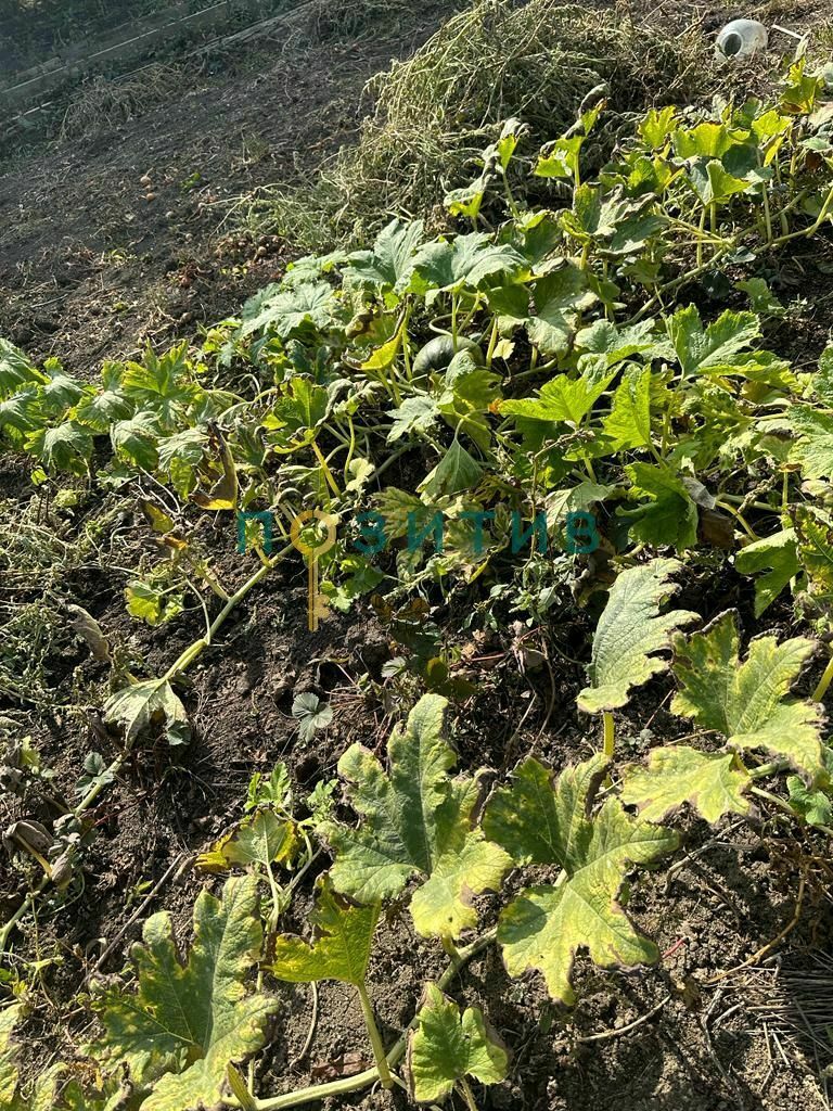 Продажа дома, 100м <sup>2</sup>, 15 сот., Змейка, ставропольский край,  минераловодский муниципальный округ