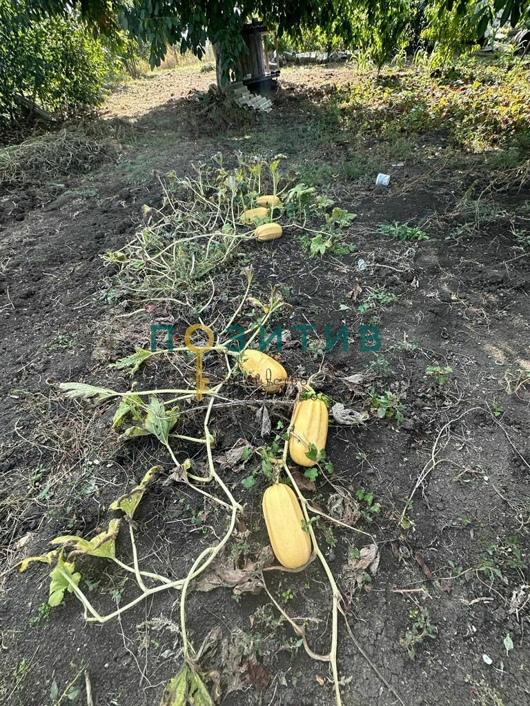 Продажа дома, 100м <sup>2</sup>, 15 сот., Змейка, ставропольский край,  минераловодский муниципальный округ