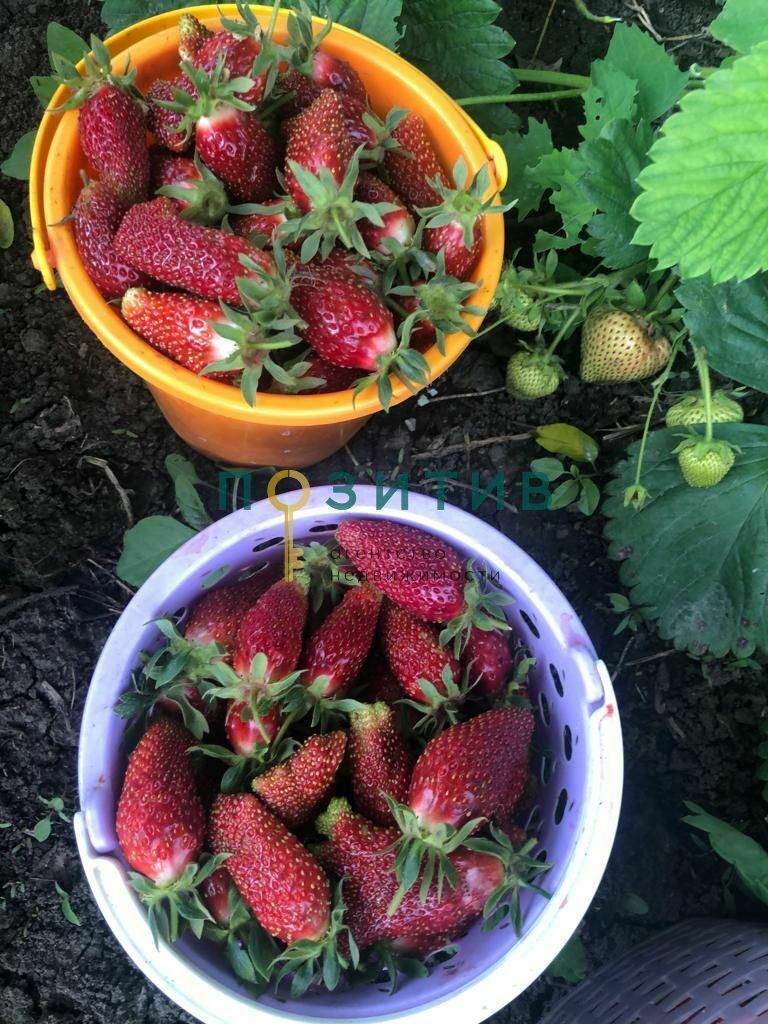 Продажа дома, 100м <sup>2</sup>, 15 сот., Змейка, ставропольский край,  минераловодский муниципальный округ