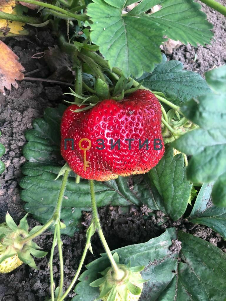 Продажа дома, 100м <sup>2</sup>, 15 сот., Змейка, ставропольский край,  минераловодский муниципальный округ