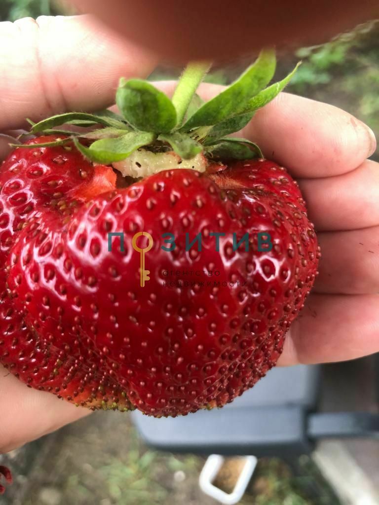 Продажа дома, 100м <sup>2</sup>, 15 сот., Змейка, ставропольский край,  минераловодский муниципальный округ